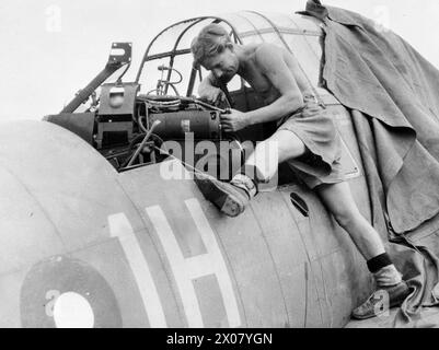 PRESSO LA HMS RAJALYIA, ROYAL NAVAL AIR STATION, COLOMBO, CEYLON. FEBBRAIO 1945, ATTIVITÀ E PERSONALE DELLA STAZIONE. - Air Mechanic (L) R S Warren, di Sunderland che lavora sulla torretta di un bombardiere Avenger alla stazione Foto Stock