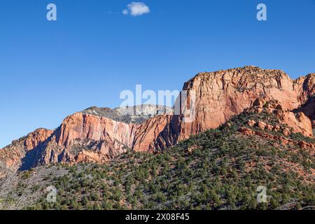 Horse Ranch Mountain al sole del pomeriggio, con colline ricoperte di detriti ricoperte di alberi e un cielo blu vibrante con una nuvola sopra nel Parco Nazionale di Zion, Uta Foto Stock