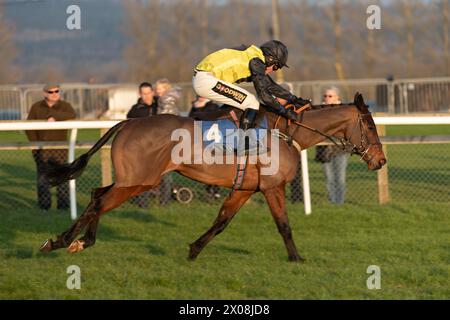 Quinta gara a Wincanton, 26 gennaio 2022, handicap hurdle Foto Stock