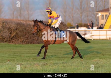 Sesta gara a Wincanton, 26 gennaio 2022, Novice hurdle Foto Stock