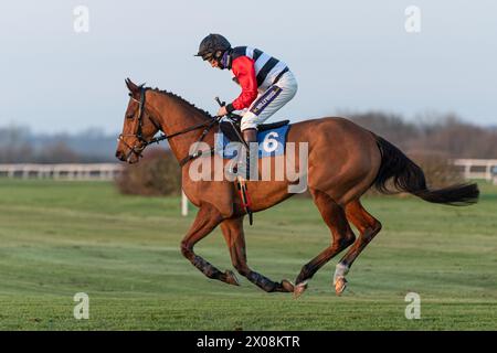 Sesta gara a Wincanton, 26 gennaio 2022, Novice hurdle Foto Stock