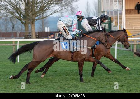 Sesta gara a Wincanton, 26 gennaio 2022, Novice hurdle Foto Stock