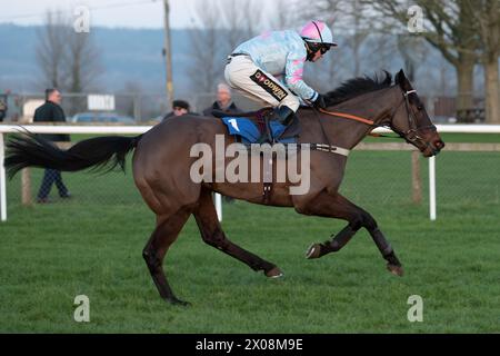 Sesta gara a Wincanton, 26 gennaio 2022, Novice hurdle Foto Stock