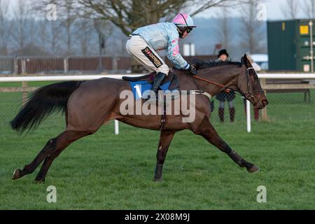 Sesta gara a Wincanton, 26 gennaio 2022, Novice hurdle Foto Stock