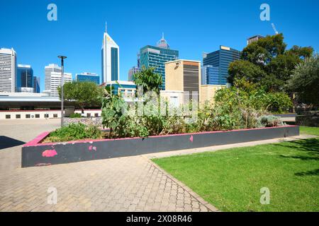 Parte dell'Urban Orchard, un giardino comunale situato presso il Perth Cultural Centre con la città sullo sfondo, Perth, Australia Occidentale. Foto Stock