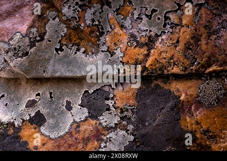 Primo piano di colorate formazioni di nichel su rocce di silice e quarzo testurizzate, che mostrano intricati motivi naturali Foto Stock
