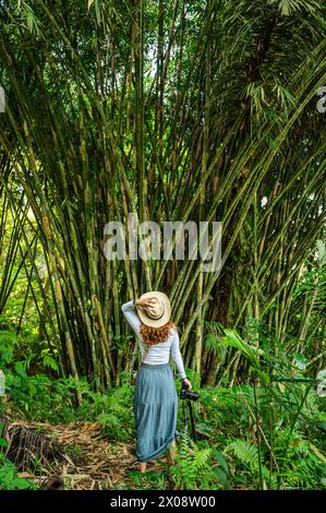 Una donna con un cappello di paglia ammira i verdeggianti boschetti di bambù mentre tiene in mano una macchina fotografica, simboleggiando l'eco-turismo nel paesaggio tropicale di Bali. Foto Stock