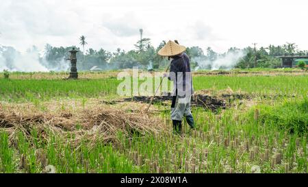 Un agricoltore balinese tende a coltivare in una lussureggiante risaia, con tradizionale cappello conico e fumo sullo sfondo, illustrando l'agricoltura rurale Foto Stock