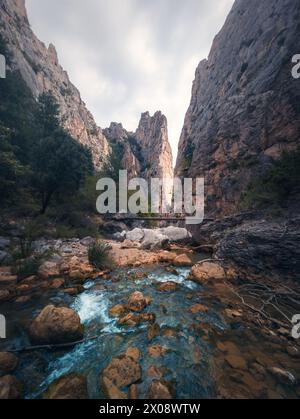 Una vista panoramica di una gola di montagna con una piccola passerella pedonale su un torrente cristallino, circondato da ripide scogliere rocciose e vegetazione Foto Stock