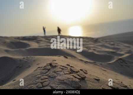Primo piano delle sabbie del deserto, vista ravvicinata sullo sfondo delle sabbie del deserto, sealine e khor al Adaid Beach area Sud, Doha Qatar Foto Stock