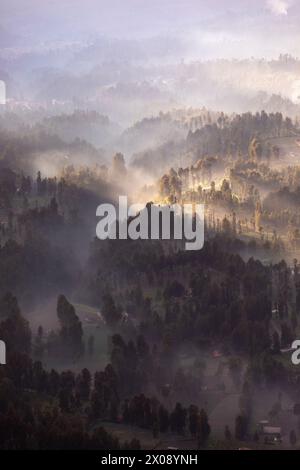 Il primo sole proietta un bagliore dorato su una foresta ricoperta di nebbia negli altopiani, con strati di colline che si dispiegano sullo sfondo Foto Stock