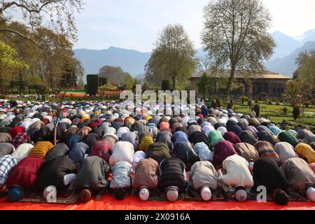 Srinagar, India. 10 aprile 2024. I musulmani offrono preghiere di Eid al-Fitr nel giardino Shalimar di Srinagar. I musulmani di tutto il mondo si riuniscono per celebrare l'Eid al-Fitr, che segna la fine del mese di digiuno del Ramadan. (Immagine di credito: © Firdous Nazir/eyepix via ZUMA Press Wire) SOLO PER USO EDITORIALE! Non per USO commerciale! Foto Stock