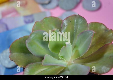 Banconote e monete dall'Indonesia Foto Stock