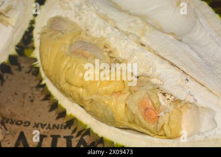 Primo piano frutta fresca di durian con frutta gialla dorata Foto Stock