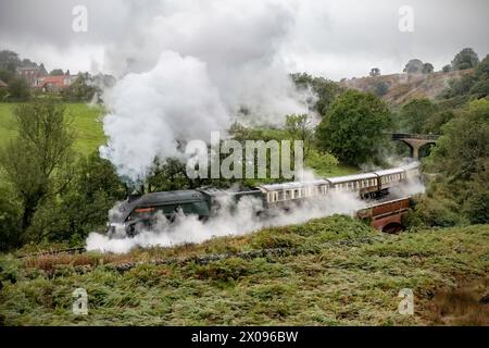 L'Unione del Sud Africa passa Darnholme sull'avvicinamento a Goathlnd sulla North York Moors Railway Foto Stock