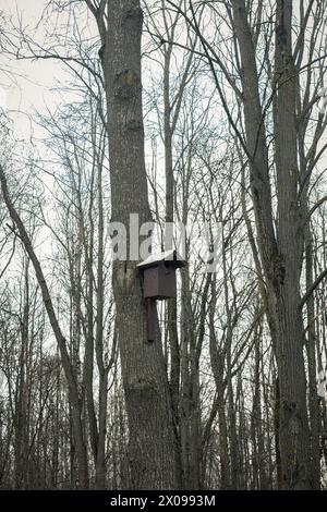 Antico birdhouse in legno su un ciliegio nella zona del parco della fattoria. Semplice design birdhouse. Riparo per l'allevamento di uccelli, nidificazione scatola su un albero Foto Stock