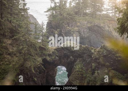 Ponti naturali nella costa meridionale di OregonCoast. Parte del Samuel H Boardman Scenic Corridor. Foto Stock