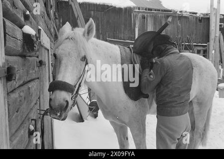 Aktuell 15 - 1 - 1974: Den gamle byen på viddaBevaringen av bergstaden Røros med sin særegne karakter skal omsider inn i helt faste former. Riksantikvar og kommunale myndigheter er gått i gang per alvor. Foto; Sverre A. Børretzen / Aktuell / NTB **FOTO IKKE BILDEBHANDLET*** questo testo è stato tradotto automaticamente! Foto Stock