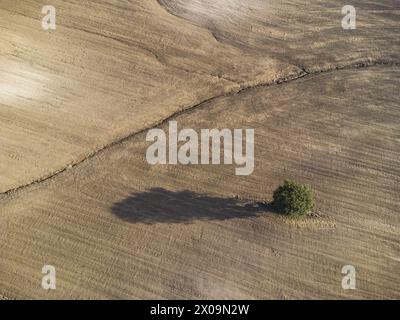 Paesaggio agricolo italiano visto dall'alto, siamo in Tuscia, in provincia di Viterbo, Italia centrale Foto Stock