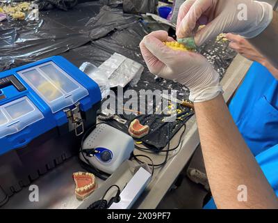 Studi di denti modello degli studenti della Facoltà di Odontoiatria. Foto Stock