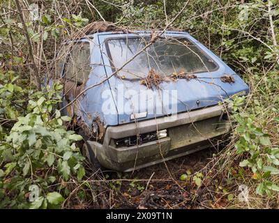 La vegetazione circonda il corpo abbandonato e arrugginito di una Fiat ritmo, un modello di auto prodotto dalla casa automobilistica italiana FIAT tra il 1978 e il 1988 Foto Stock