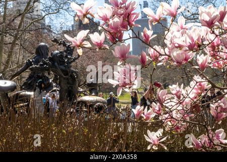 La scultura Alice nel Paese delle meraviglie del Tea Party è circondata da alberi in fiore all'inizio della primavera, Central Park, 2024, New York City, USA Foto Stock