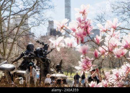 La scultura Alice nel Paese delle meraviglie del Tea Party è circondata da alberi in fiore all'inizio della primavera, Central Park, 2024, New York City, USA Foto Stock