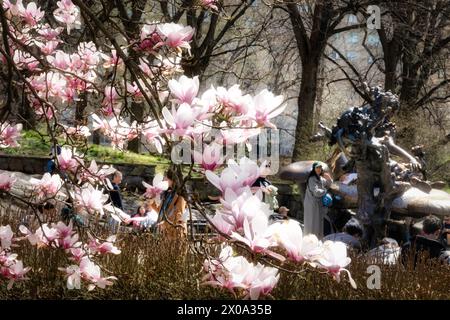 La scultura Alice nel Paese delle meraviglie del Tea Party è circondata da alberi in fiore all'inizio della primavera, Central Park, 2024, New York City, USA Foto Stock