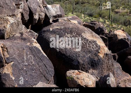 Incisioni rupestri incise nella roccia dai nativi americani Hohokam, Signal Hill, Tucson Mountain District, Saguaro National Park, Arizona Foto Stock