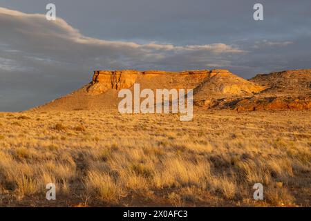 Luce nel tardo pomeriggio sulle erbe e sulle formazioni rocciose, la riserva Hopi nei pressi di Moenkopi, Arizona Foto Stock