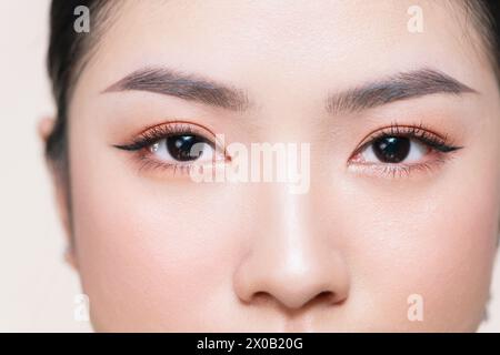 Primo piano di un bellissimo occhio femminile con sopracciglia dalla forma perfetta Foto Stock