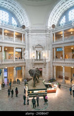 Smithsonian National Museum of Natural History, presso il National Mall di Washington, D.C., USA Foto Stock