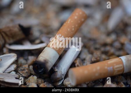 Berlino, Germania. 11 aprile 2024. I mozziconi di sigaretta sono stesi in un posacenere. Credito: Fernando Gutierrez-Juarez/dpa/Alamy Live News Foto Stock