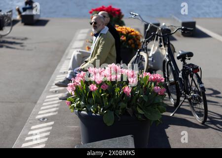 Amsterdam, Paesi Bassi. 10 aprile 2024. Durante il Festival dei tulipani del 2024 ad Amsterdam, Paesi Bassi, 10 aprile 2024, le persone si godono il sole e i tulipani. Crediti: Sylvia Lederer/Xinhua/Alamy Live News Foto Stock