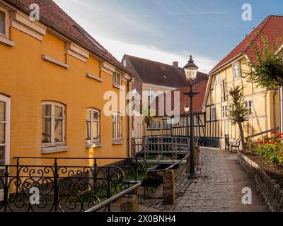 Affascinante strada stretta con case a graticcio lungo il canale nella città vecchia di Bogense, Funen, Danimarca Foto Stock