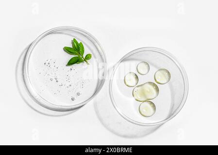 Gocce di gel cosmetico e foglie di piante verdi in capsule di Petri isolate su sfondo bianco. Bellezza naturale, ricerca di laboratorio cosmetico a base di erbe e vega Foto Stock