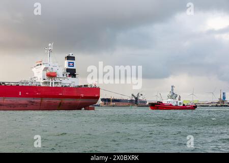 ROTTERDAM, PAESI BASSI - 2 NOVEMBRE 2016: Un rimorchiatore accompagna la petroliera Maritina al suo arrivo al porto di Rotterdam, nel Nether, a Maasvlakte Foto Stock
