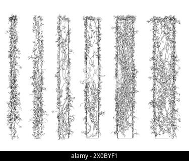 Contorno di colonne intrecciato con piante con foglie di linee nere isolate su sfondo bianco. 3D. Illustrazione vettoriale. Un set di colonne di d Illustrazione Vettoriale