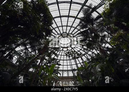 Bruxelles, Belgio. 11 aprile 2024. Le serre del castello reale di Laken/Laeken, Bruxelles, sono aperte per una visita stampa giovedì 11 aprile 2024, prima dell'apertura al pubblico. Le serre possono essere visitate dal 26 aprile al 20 maggio. BELGA PHOTO ERIC LALMAND credito: Belga News Agency/Alamy Live News Foto Stock