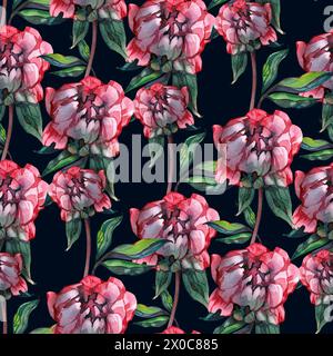 Motivo ad acquerello senza cuciture estivo con peonie rosa e rose su sfondo bianco, illustrazione su sfondo bianco Foto Stock