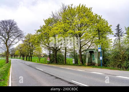 Bushaltestelle Scheideweg, Wartehäuschen an einer Landstraße, B 483, bei Radevormwalde Landwehr, Buslinie 339, NRW, Deutschland Bushaltestelle Land *** fermata dell'autobus Scheideweg, fermata dell'autobus su una strada di campagna, B 483, vicino a Radevormwalde Landwehr, linea 339, NRW, fermata dell'autobus Germania Land Foto Stock