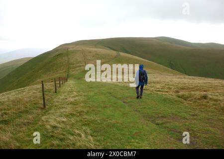 Man (escursionista) camminando sui Rowantree Grains (a col) fino a "Arant Haw" da "Calders" sulle Howgill Hills nello Yorkshire Dales National Park, Inghilterra, Regno Unito. Foto Stock