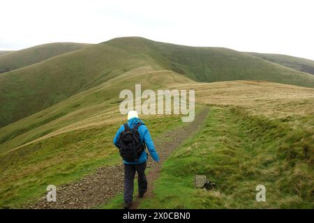 Man (escursionista) camminando sui Rowantree Grains (a col) fino a "Calders" da "Arant Haw" sulle Howgill Hills nello Yorkshire Dales National Park, Inghilterra, Regno Unito. Foto Stock