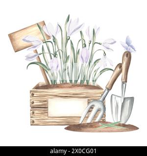 Fiori di neve in cassa con cartello, farfalla, cazzuola e rastrello nel terreno. Attrezzi e forniture per il giardinaggio. Illustrazione ad acquerello disegnata a mano, CO isolato Foto Stock