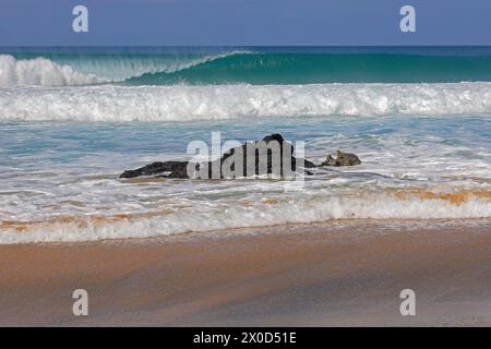 Rocce vulcaniche nere bagnate dalle onde, spiaggia di surf Piedra Playa, El Cotillo, Fuerteventura. Preso nel febbraio 2024 Foto Stock