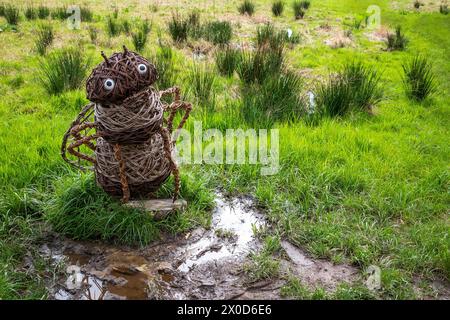 RHS Garden Bridgewater a Worsly vicino Manchester. Wickerwork del Manchester Bee. Foto Stock