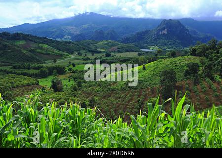 Vista panoramica sulla foresta, Tham Sakaen, zona di confine della provincia di Nan. Con la provincia di Phayao, Thailandia Foto Stock