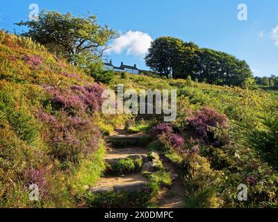 UK, West Yorkshire, Ilkley, Ilkley Moor, Dales Way Link che porta a White Wells. Foto Stock