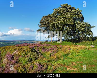 Regno Unito, West Yorkshire, Ilkley, Ilkley Moor, Viewpoint vicino a White Wells. Foto Stock