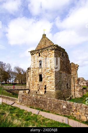 Vista dello storico castello di St Andrews del XIII secolo durante il sole primaverile nella contea di Fife, Scozia Foto Stock